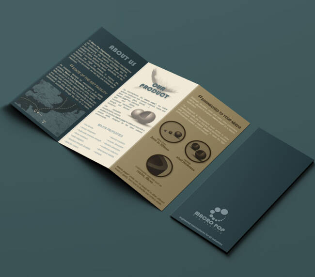 3 fold brochure design closed and interior