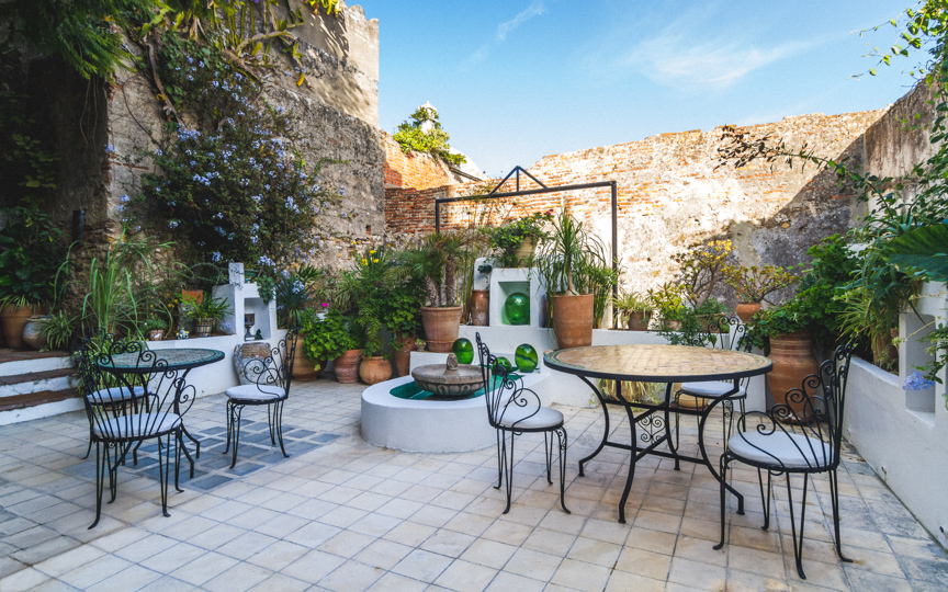 Photograph of bright interior terrasse with lush plants