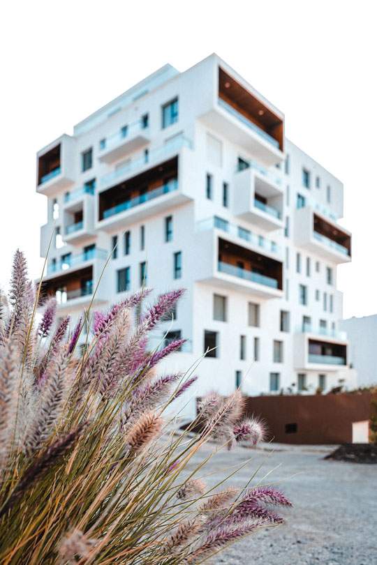 apartment building in tanger morocco - plant foreground